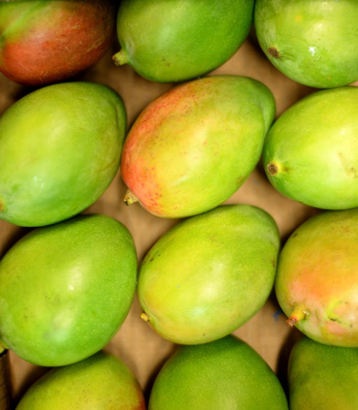 Collection of fresh green mangoes arranged neatly for sale or display.